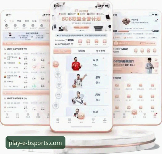 揭秘b体育娱乐平台：官方下载与流畅体验背后的真相