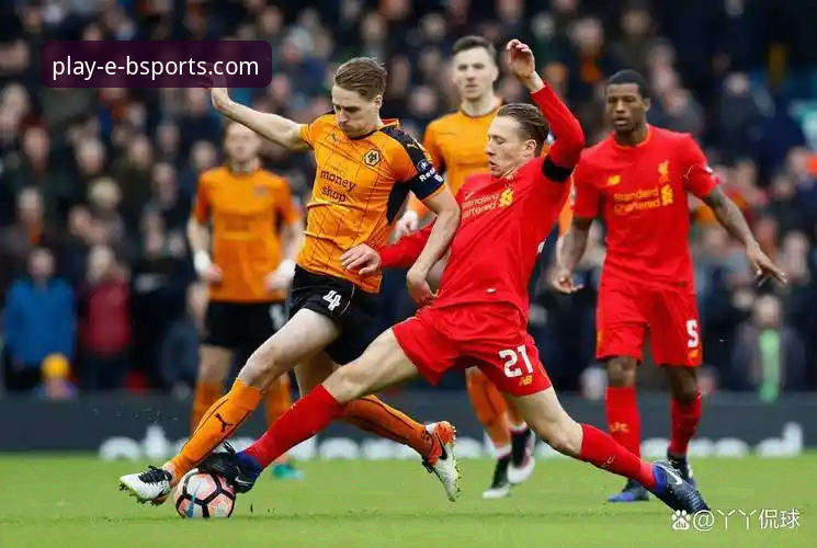 狼队坚韧vs利物浦高效：一场足总杯的战术博弈与流畅观赛体验